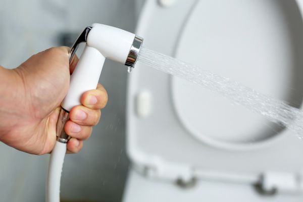 Bidet Installation in Land O Lakes