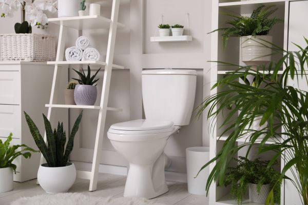 Cost of Toilet Repair in Land O Lakes