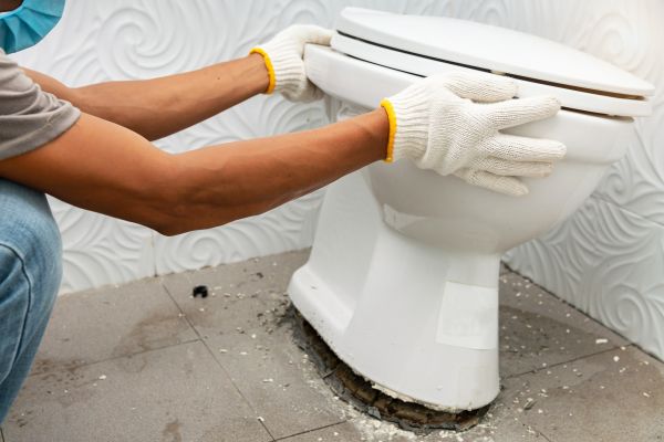 Cost of Toilet Removal in Land O Lakes