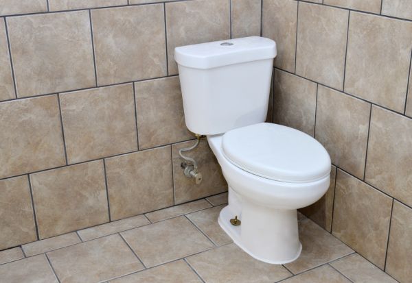 Cost of Basement Toilet Installation in Land O Lakes